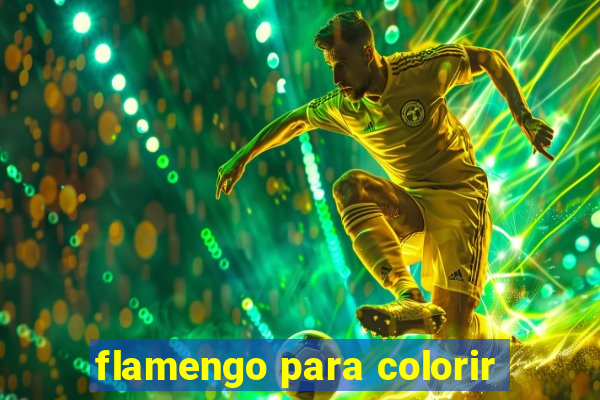 flamengo para colorir